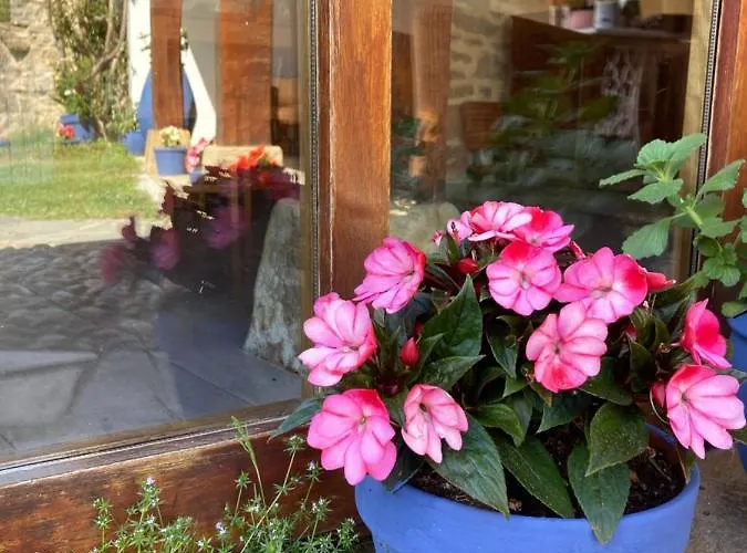 La Casona De Gueelitos