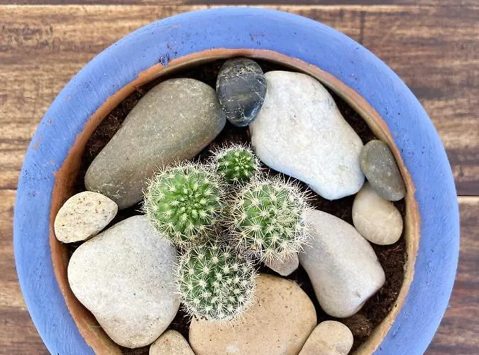 Szálloda La Casona De Gueelitos 3*